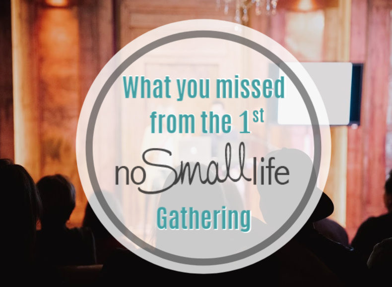 What you missed from the first No Small Life Gathering