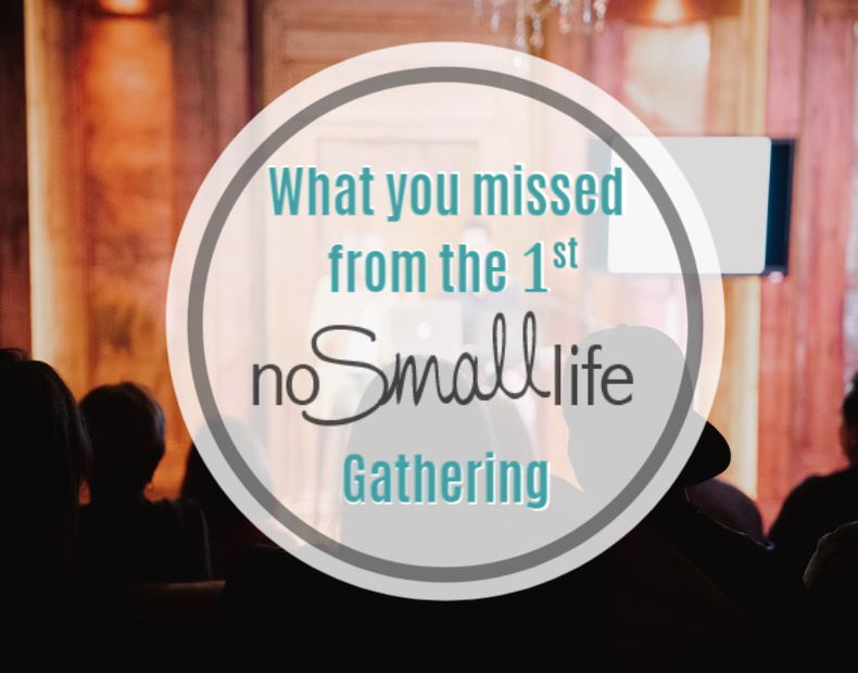 What you missed from the first No Small Life Gathering