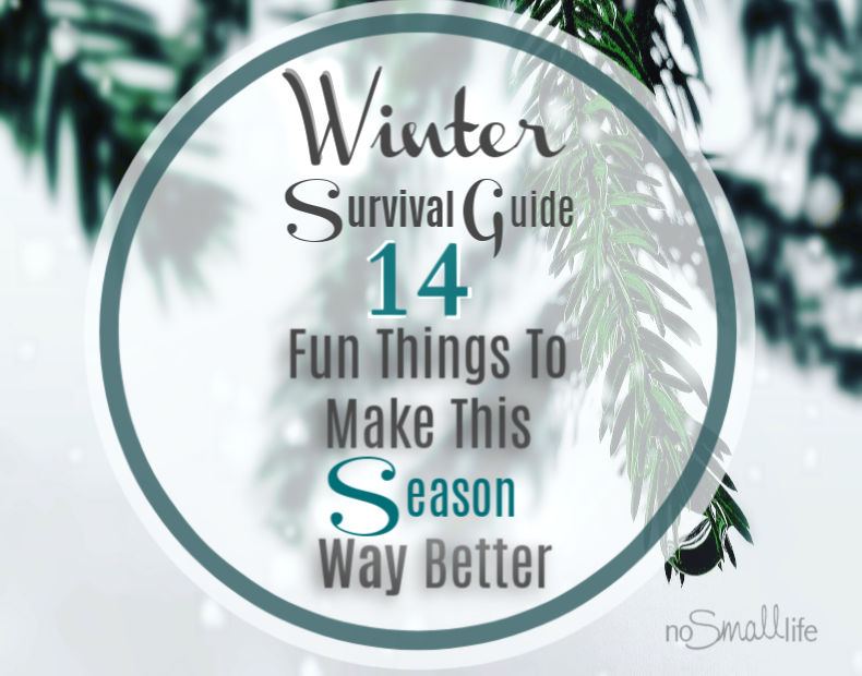 Winter Survival Guide: 14 Fun things to make this season way better