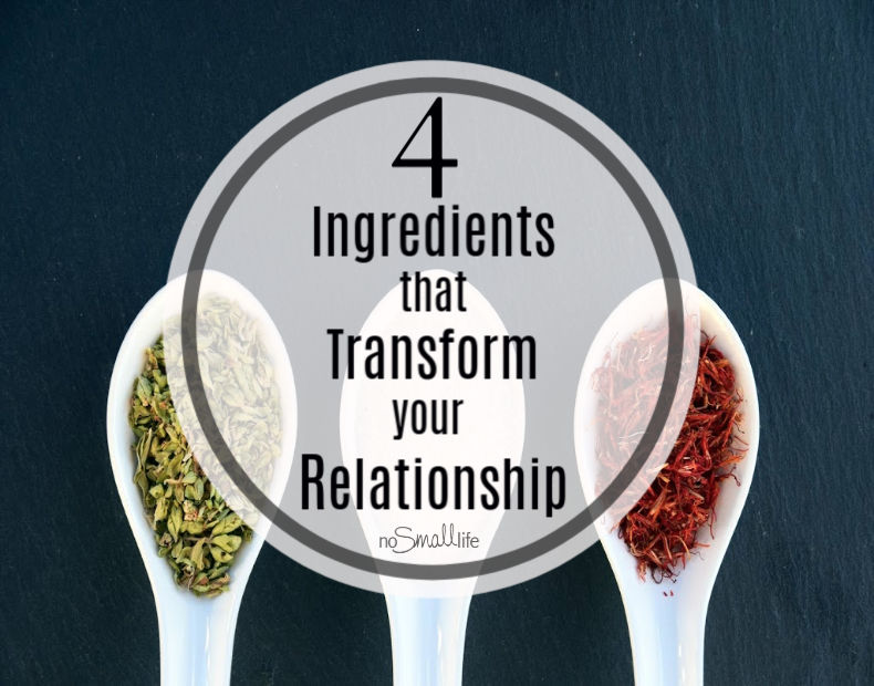 4 Ingredients that Transform your Relationship